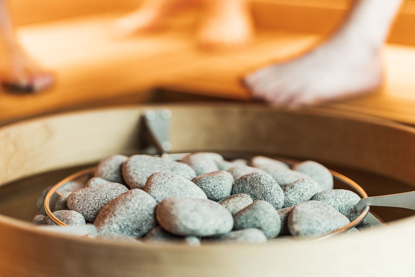 桑拿炉与控制部件示意