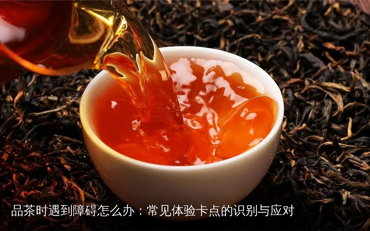 品茶时遇到障碍怎么办:常见体验卡点的识别与应对
